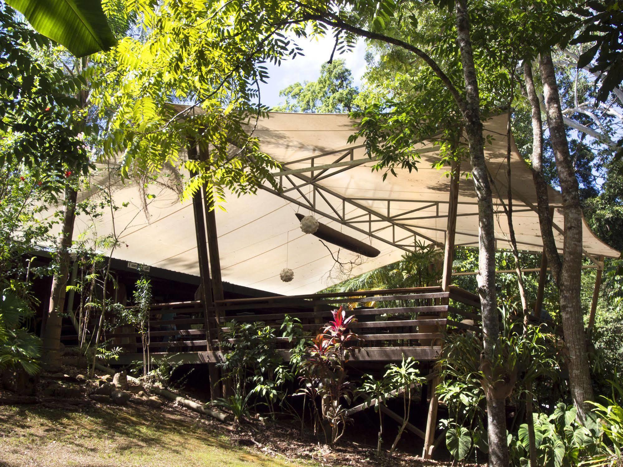 Cedar Park Rainforest Resort Koah Exterior photo